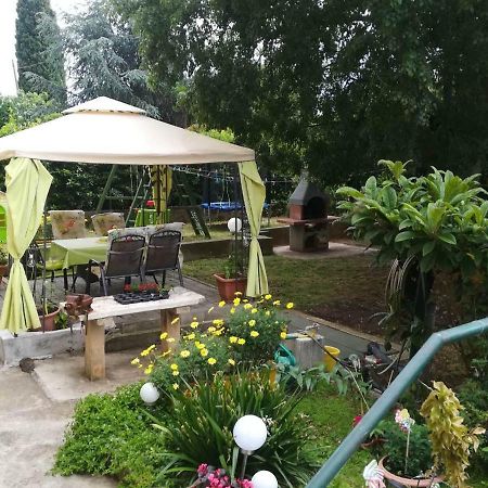 Apartment Mirana With Garden And Free Parking Zadar Exterior photo