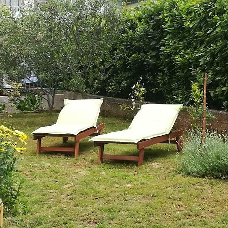 Apartment Mirana With Garden And Free Parking Zadar Exterior photo