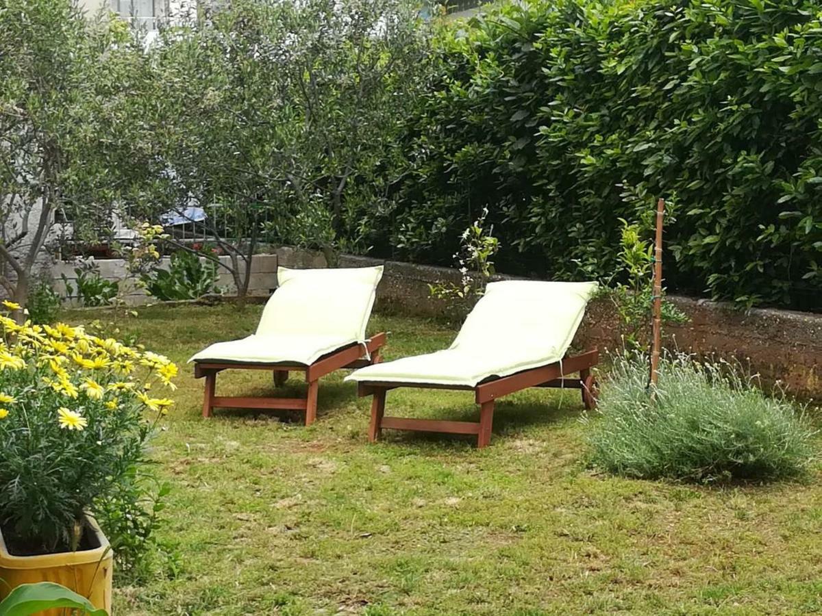 Apartment Mirana With Garden And Free Parking Zadar Exterior photo
